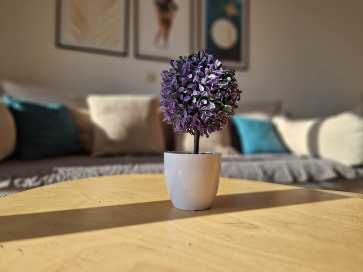 City Apartment Sanja Makarska Zewnętrze zdjęcie